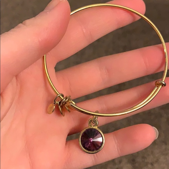 Alex and Ani Amethyst Stone bracelet - Picture 1 of 2